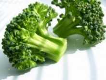 Brokolica podporuje metabolizmus a pomáha pri chudnutí. chudnutie je efektívnejšie a rýchlejšie